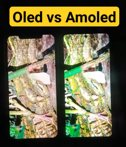 OLED or AMOLED