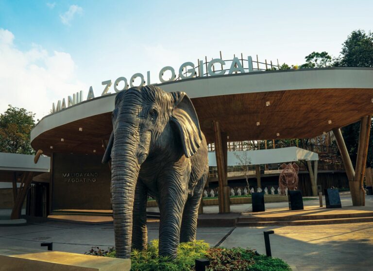 Manila Zoo Entrance Fees and Attractions: Your Ultimate Guide!