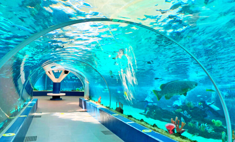 Dive into Cebu Ocean Park: Ticket Rates and Insider Tips!